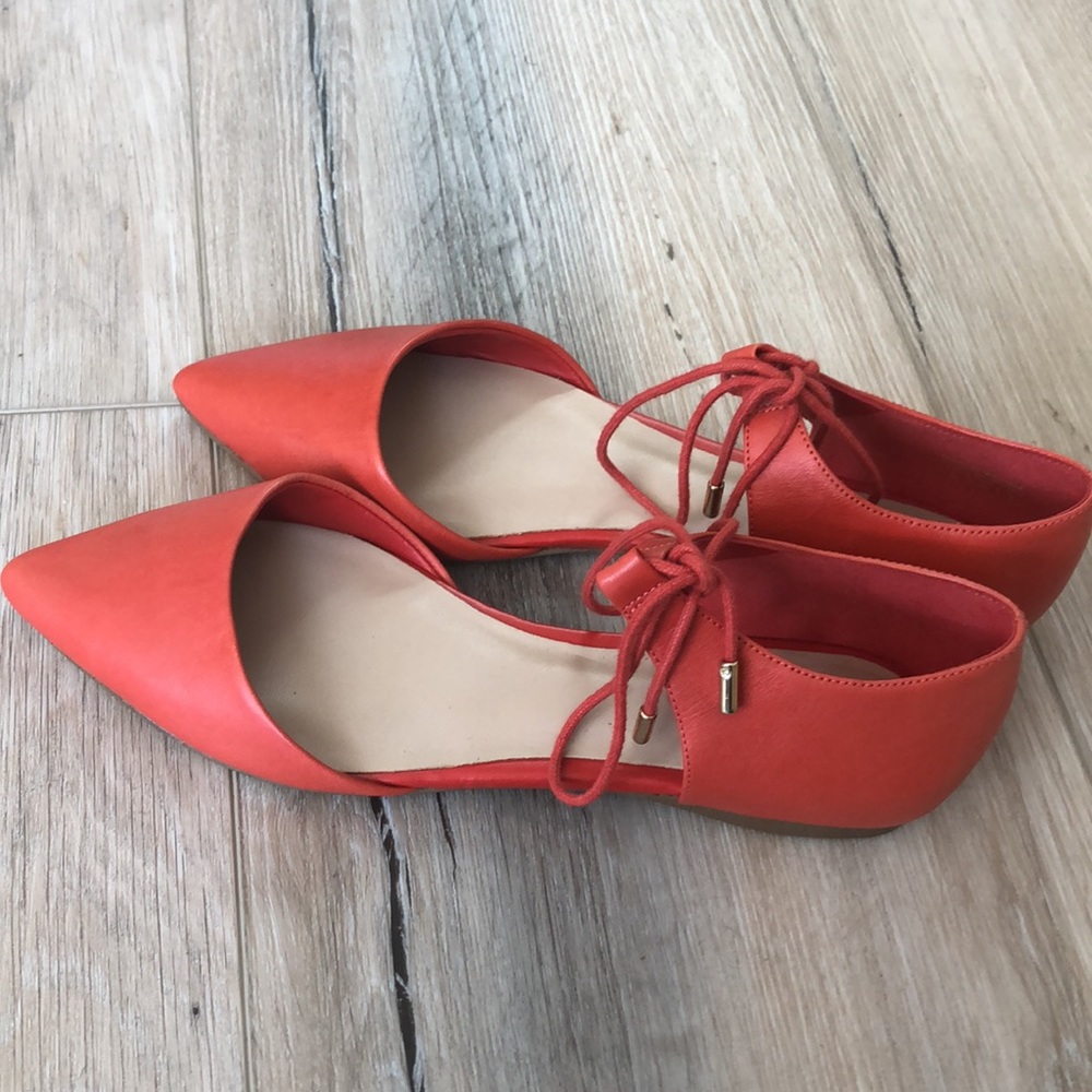 ALDO Chessi Ankle-Tie Ballet Flats